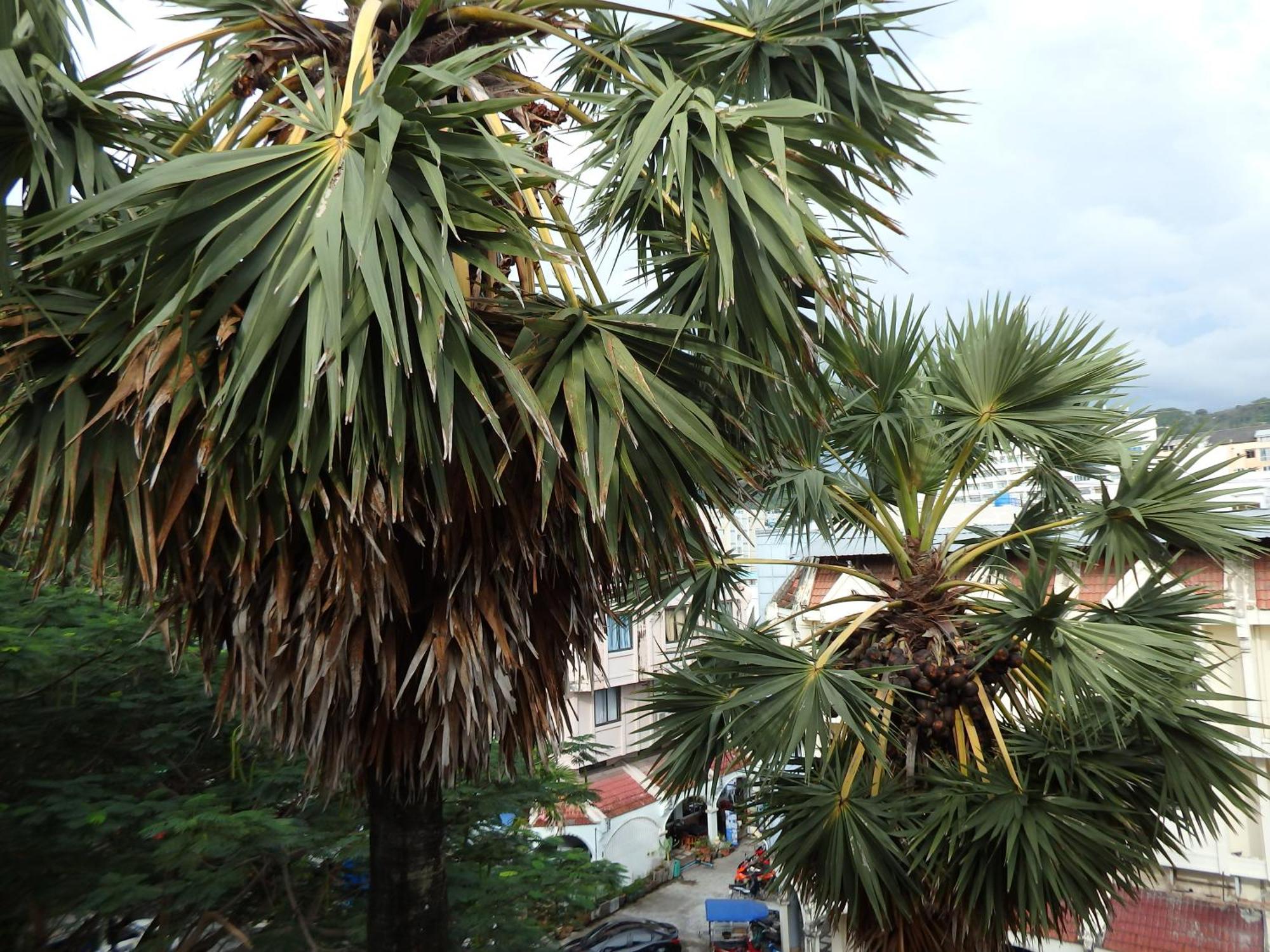 Boomerang Inn Phuket Buitenkant foto